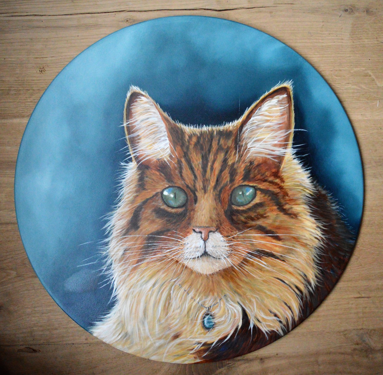 ijdele kat